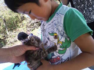 moblog_036b1b06.jpg