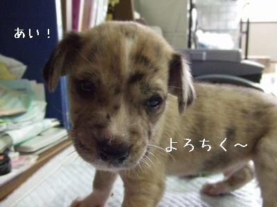 moblog_05ced40a.jpg