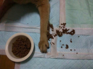 moblog_0a4af668.jpg