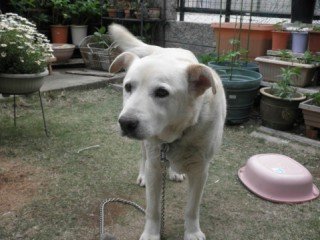 moblog_0d987450.jpg