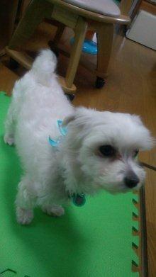 moblog_0f0cd085.jpg
