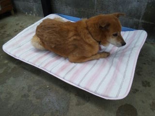 moblog_0f0e13fb.jpg