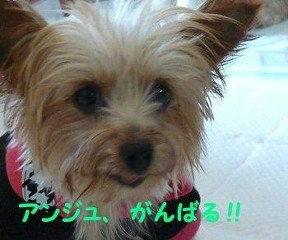 moblog_1245fb13.jpg