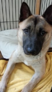 moblog_17474b74.jpg