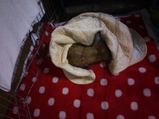 moblog_17f6d870.jpg