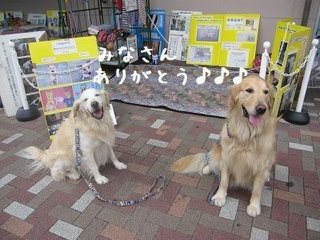 moblog_1a5d9322.jpg