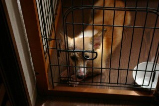moblog_1aff5c8d.jpg