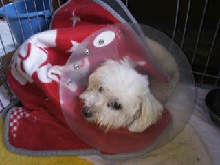 moblog_1bda4269.jpg