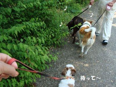 moblog_1c36d630.jpg