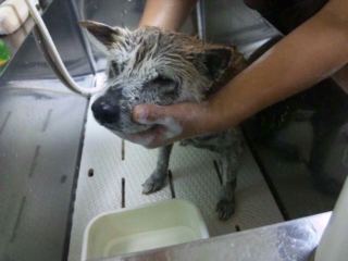 moblog_1d3191e1.jpg