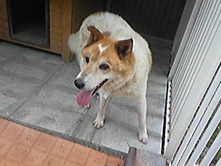 moblog_2015498a.jpg