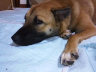 moblog_23f115a0.jpg
