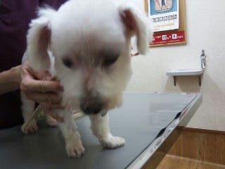 moblog_26c9f80a.jpg