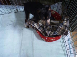 moblog_26e7bb4d.jpg