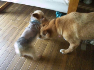 moblog_2767861d.jpg