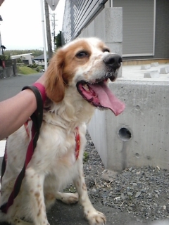 moblog_292100ce.jpg