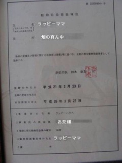 moblog_2b709af5.jpg