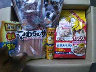 moblog_2ba9ef67.jpg