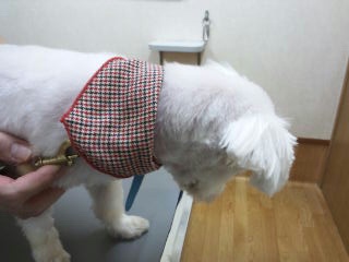 moblog_2c9f4653.jpg