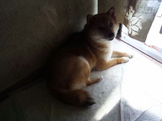 moblog_2dd75d39.jpg