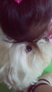 moblog_31a17a47.jpg