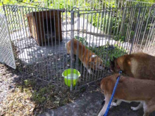 moblog_32158674.jpg