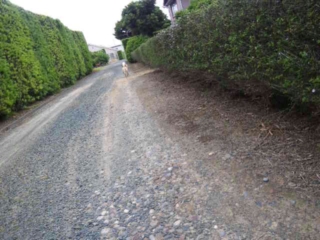 moblog_329f3ee9.jpg