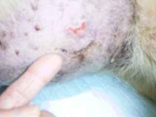 moblog_32be4d96.jpg