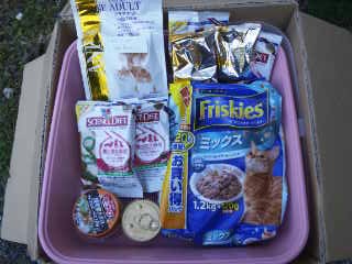 moblog_336906c4.jpg