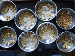 moblog_33c251bc.jpg