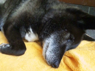 moblog_38e212cf.jpg