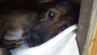 moblog_4274c6da.jpg