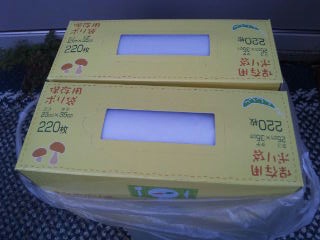 moblog_42853198.jpg