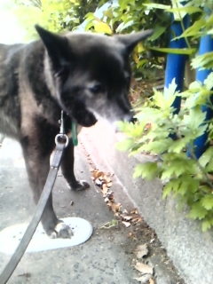 moblog_43106999.jpg