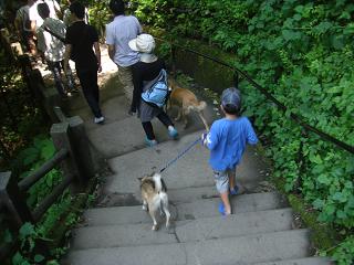 moblog_4403ee97.jpg