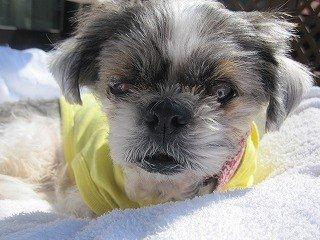 moblog_4777d5ff.jpg