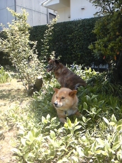 moblog_47b8c78b.jpg