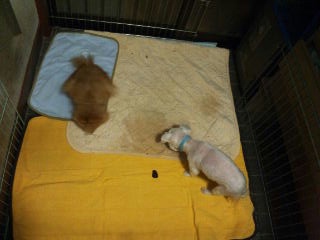 moblog_49467c0b.jpg