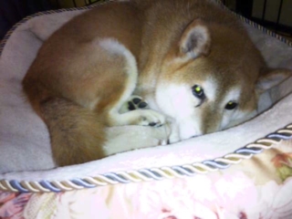 moblog_4b5422be.jpg