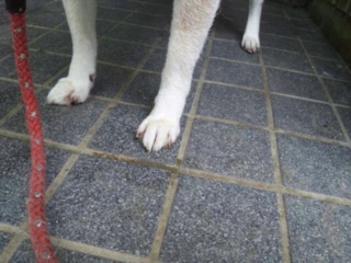 moblog_4f4d57f8.jpg