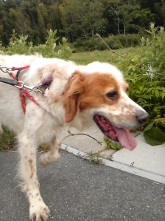 moblog_4fbb5a76.jpg