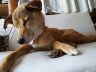 moblog_51ff7916.jpg