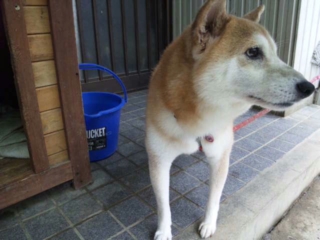moblog_52024d64.jpg