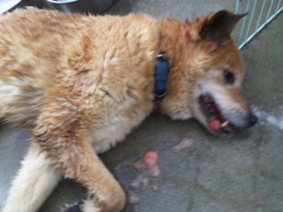 moblog_57c71163.jpg
