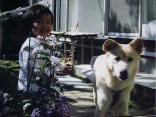 moblog_585c9219.jpg