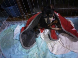 moblog_594e24f9.jpg