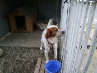 moblog_5bf0a5f5.jpg