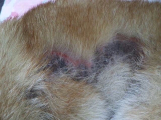 moblog_5d595389.jpg