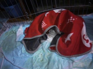 moblog_5f6eebea.jpg