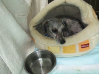 moblog_62462642.jpg